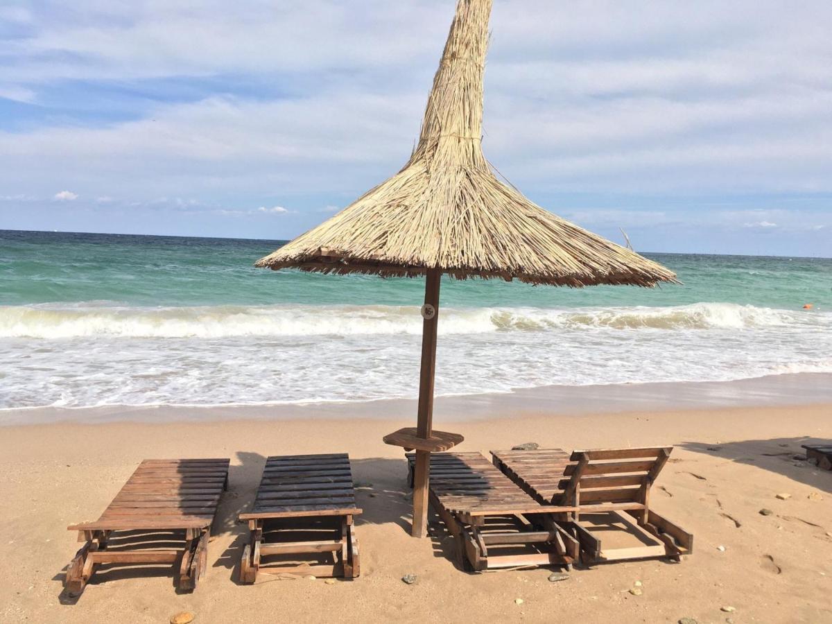 Sofia Seaside Apartamente Mamaia Nord 那沃达利 外观 照片